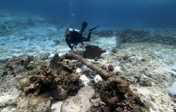 Kelly Gleason investigates an anchor in the bow section of the Parker shipwreck site.