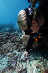 Kelly Gleason documents a whaling harpoon tip at the Two Brothers shipwreck site at French Frigate Shoals