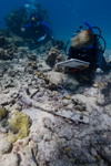 Maritime archaeologist Cathy Green documents artifacts at the Two Brothers shipwreck site at French Frigate Shoals