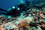 Maritime archaeologists document artifacts at the Two Brothers shipwreck site at French Frigate Shoals
