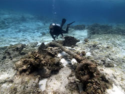 Kelly Gleason investigates an anchor in the bow section of the Parker shipwreck site.
