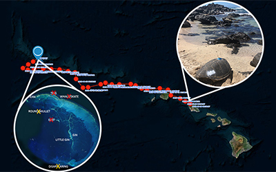 The satellite track of Motherload's journey of more than 600 miles from O‘ahu to French Frigate Shoals.