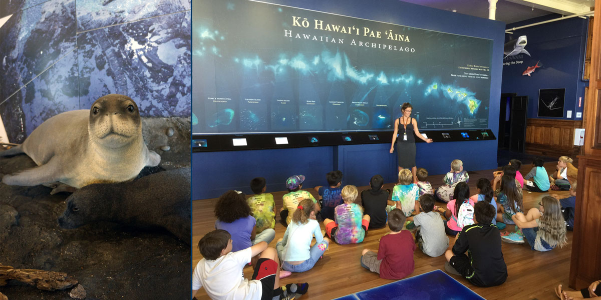 Hawaiian monk seal exhibit (left) and visiting class in front of the large wall map of Papahānaumokuākea (right) at Mokupāpapa Discovery Center.