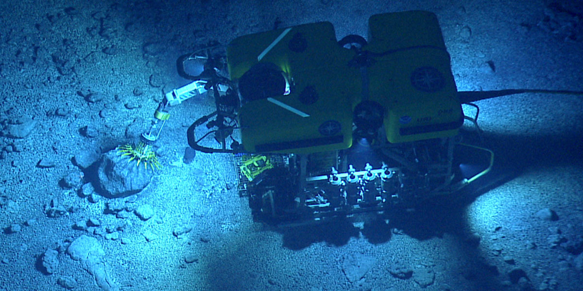 ROV collecting a deep-sea specimen.