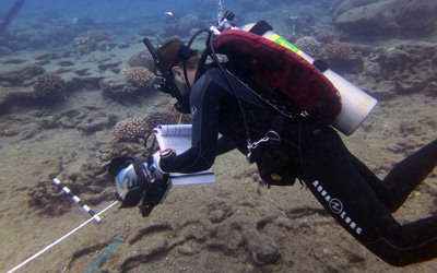 NOAA diver Dr. John Burns surveys coral health at Lehua.
