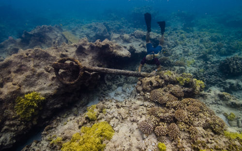 NOAA maritime archaeologist Dr. Kelly Keogh investigates an anchor at the Two Brothers shipwreck site at French Frigate Shoals.