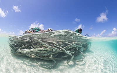 A mass of entangled nets and rope at French Frigate Shoals.