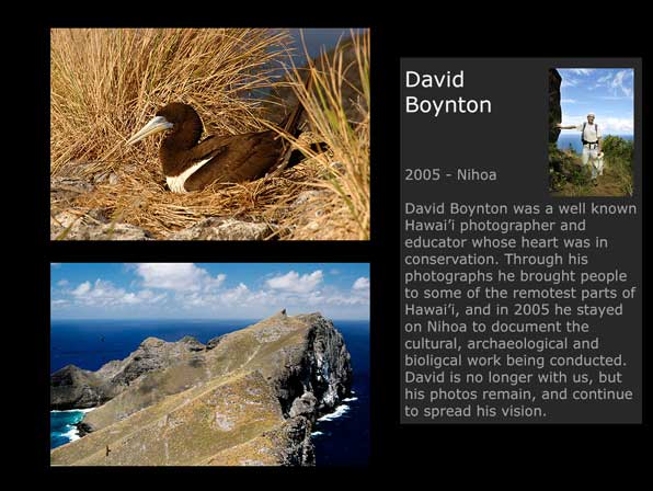 David Boynton Images