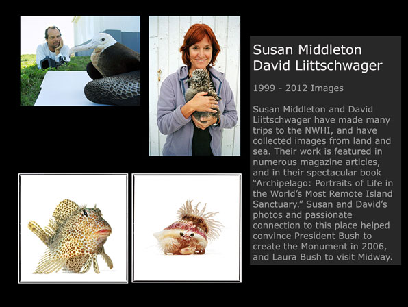 Susan Middleton and David Liittschwager Images