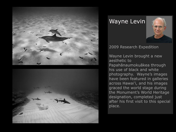 Wayne Levin Images