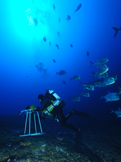 NOAA scientific diver conducting coral reef surveys.