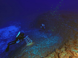 NOAA rebreather divers conduct coral, algae, and fish surveys at Laysan.