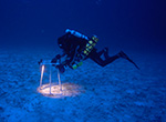 NOAA scientific diver Brian Hauk conducting a benthic (bottom) survey using a photo-quadrat at a depth of 285 feet at French Frigate Shoals, Papahānaumokuākea Marine National Monument.