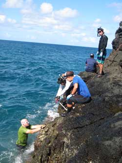 Researchers collect intertidal monitoring data at La Perouse Pinnacles.