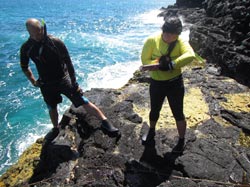 Researchers Kehau Springer and Levi Lewis identify limu (algae) on an intertidal transect.