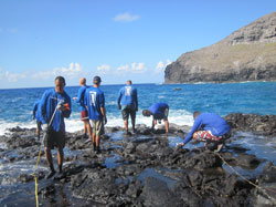 Researchers conduct intertidal surveys in the Monument.