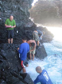 Team members count ʻopihi using traditional transects.