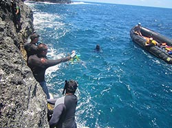 PMNM Intertidal Monitoring team members counting yellowfoot and blackfoot ʻopihi.