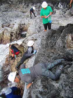Makani Gregg records data while the team surveys the rocky shoreline.