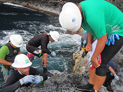 Makani Gregg records data while the team surveys the rocky shoreline.