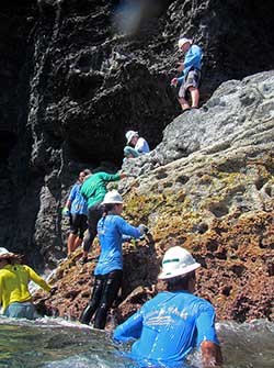 Researchers conduct surveys along the rocky shorelines of Nihoa.