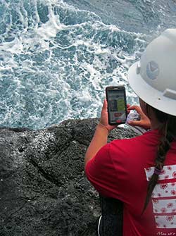 Researchers use an app developed by Chris Bird to record ʻopihi along the rocky shorelines of Nihoa.