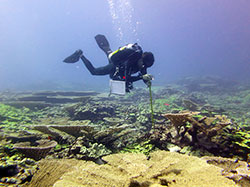 Stephen Matadobra conducts a transect at French Frigate Shoals using a monopod to record sections of the reef. 