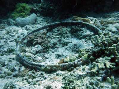 The remains of seaplane fueling barrels: a chime (the ridge along the top and bottom of a metal barrel) on the reef off Eastern Island, French Frigate Shoals.  