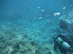 Maritime archaeologists Kelly Gleason and Jason Raupp explore the reefs off Eastern Island at French Frigate Shoals.