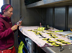 Chelsie prepares disks to measure and identify Pocillopora heads in the lab before a dive.    