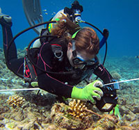 Nyssa photographs a previously-placed calcium carbonate block before extracting it from a reef in Midway lagoon. 