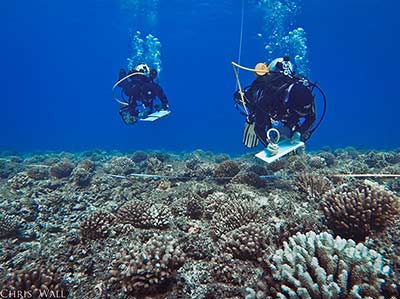 Coral health team divers Kanoelani Steward and Courtney Couch taking visual observations of the reef.