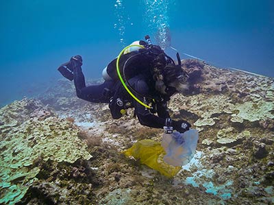 Chris Wall collects a water sample from the reef for later analysis.