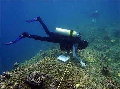 RAMP 2015 Chief Scientist Scott Godwin conducts a benthic (bottom-dwelling organisms - corals, crustaceans, etc.) survey at Pearl and Hermes Atoll with monitoring partner Kanoelani Steward.