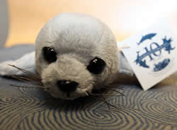 plush seal